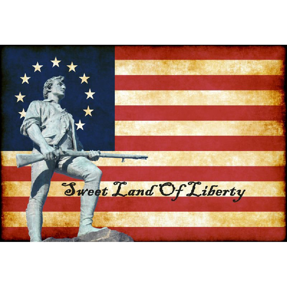 Sweet Land of Liberty Print Framed