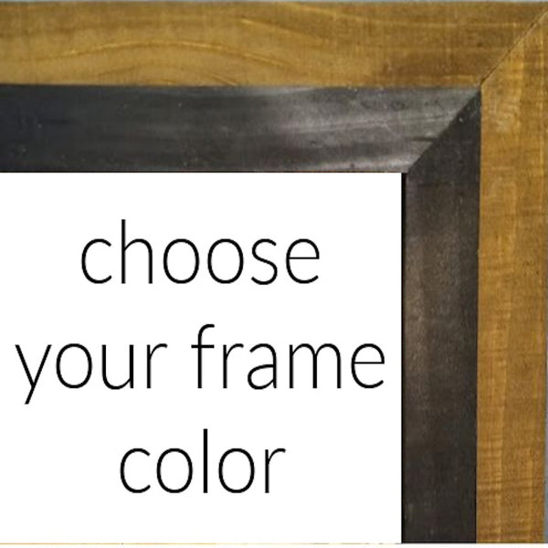 frame color choice